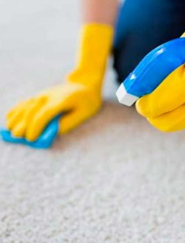 Limpieza Moquetas y alfombras